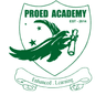 Pro Ed Academy